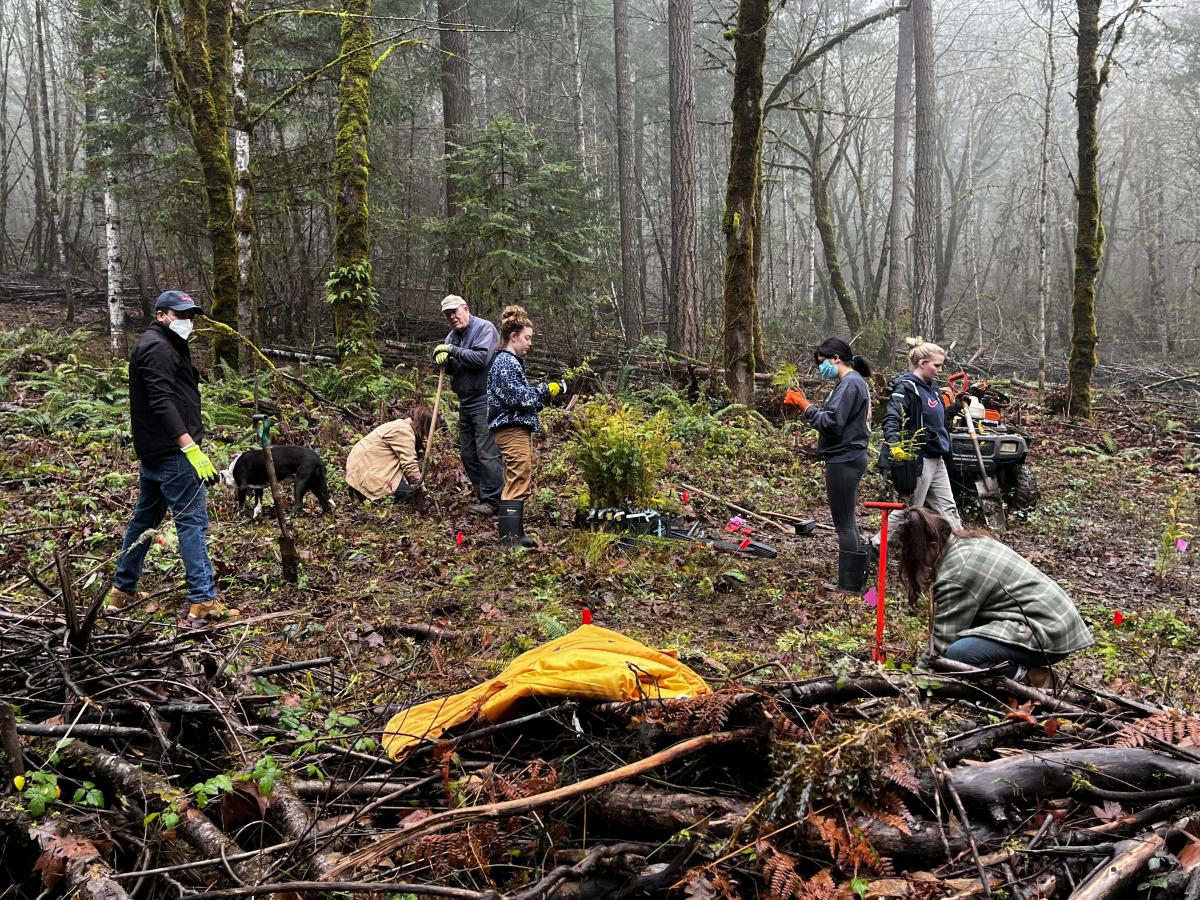 IFSA OSU members planting trees