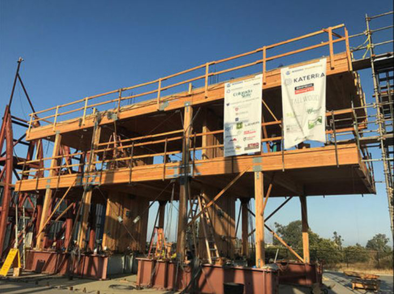 Cross Laminated Timber building