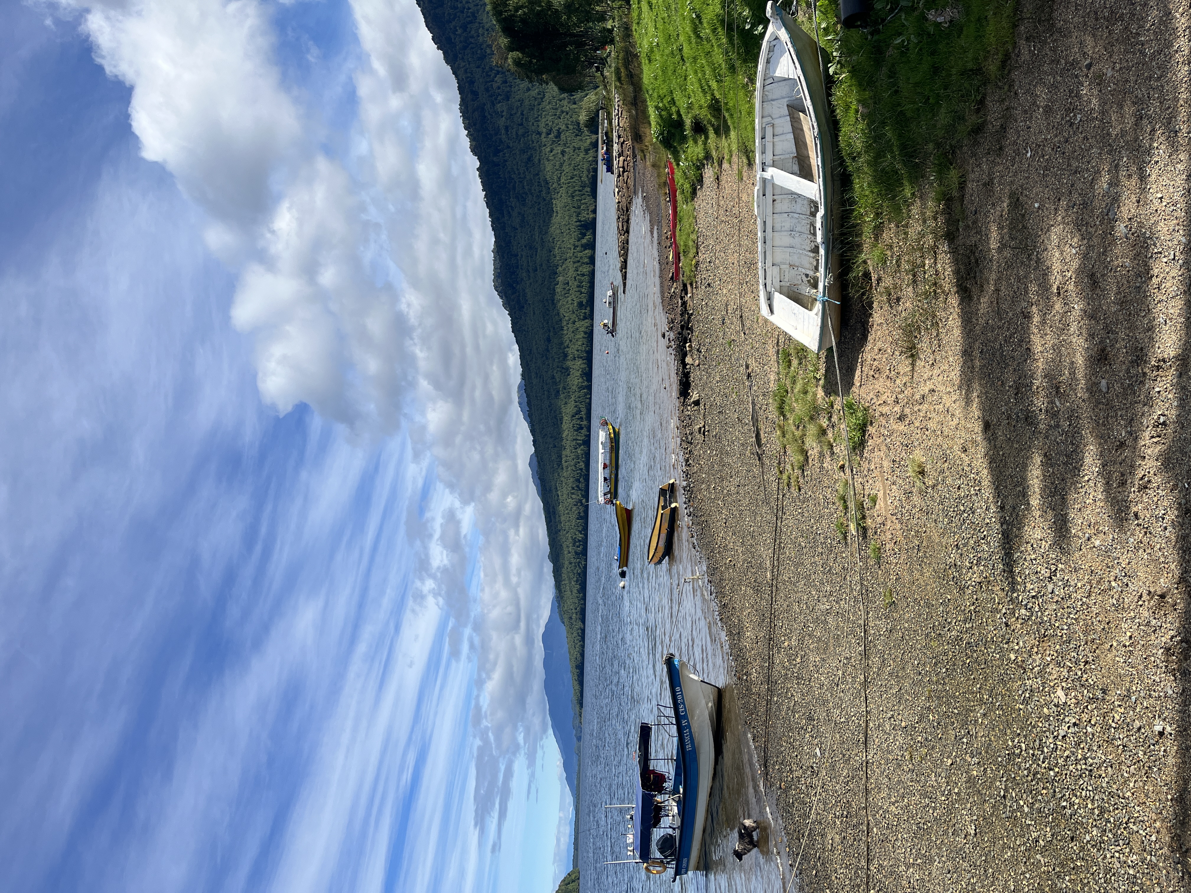 Chiloe boats